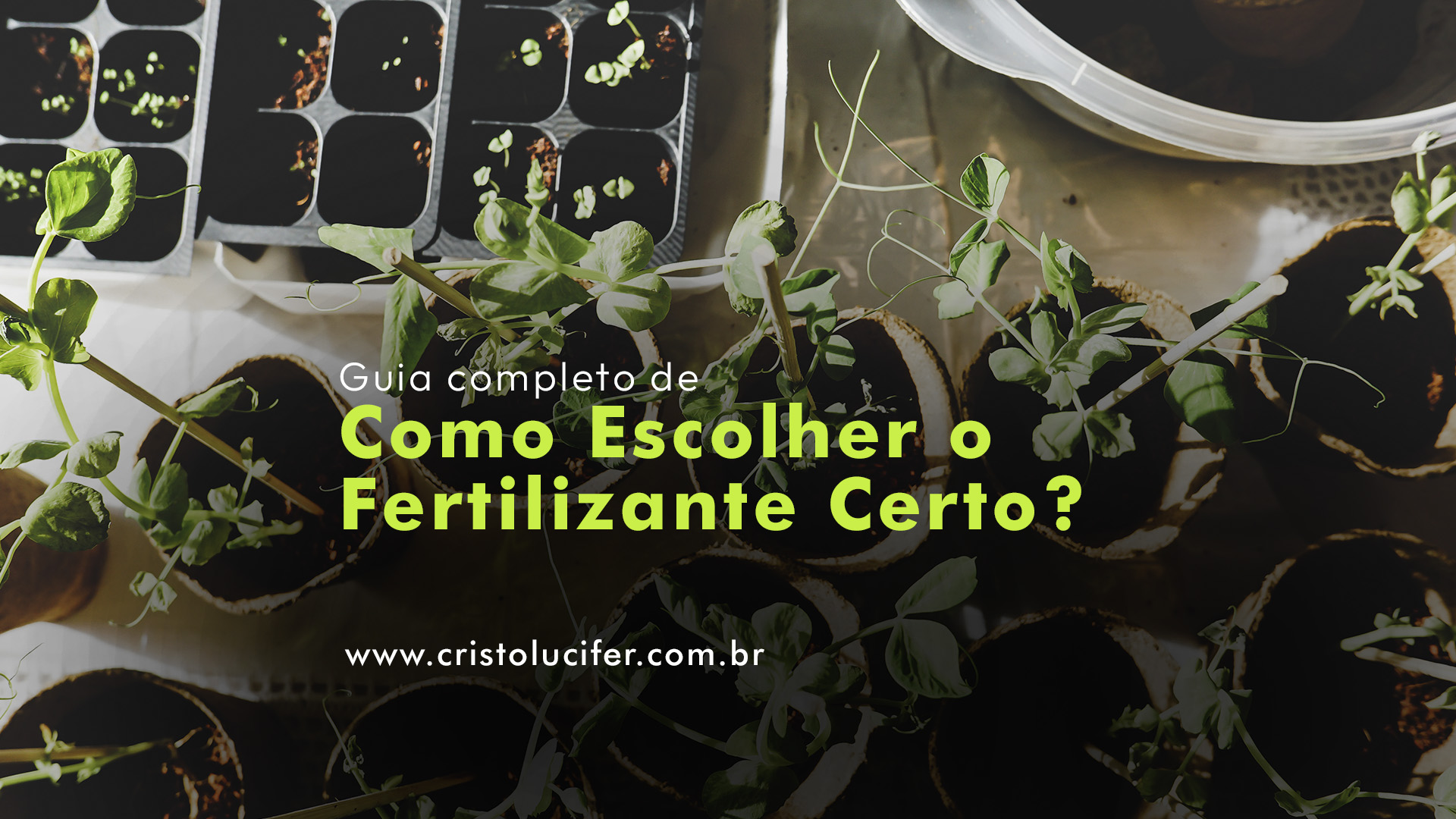 Como escolher o melhor fertilizante orgânico para suas plantas?