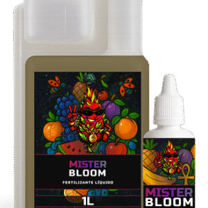 Mister Bloom