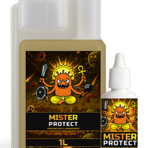 Mister Protect